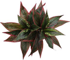 Artificial Agave Fake Plants Red 2 Pack, 10 Inches Faux Shrubs Flowers Grass Plant for Wedding Party Office Indoor Outdoor Home Yard Garden Greenery Leaves Decor UV Resistant Planter Filler Decoration