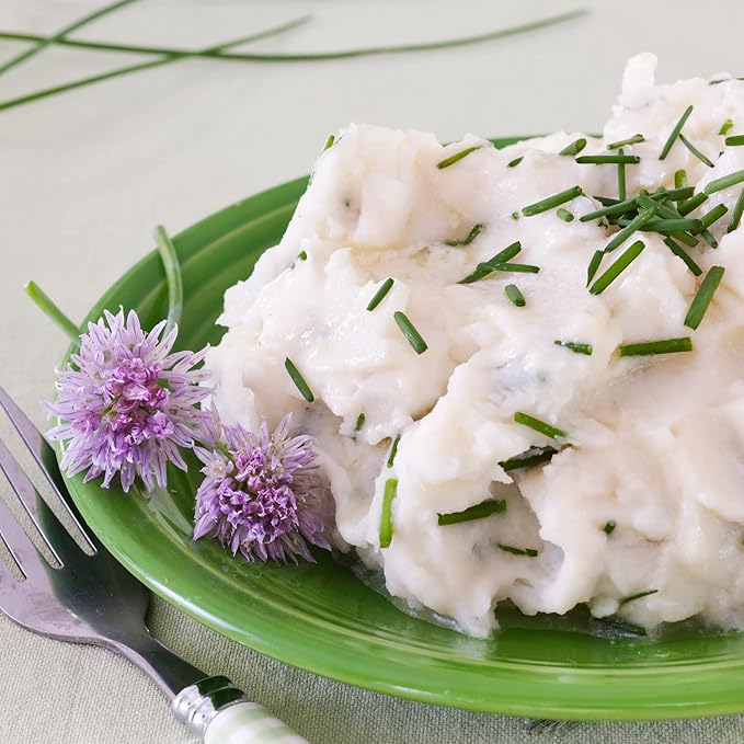 Bonnie Plants Onion Chives - 4 Pack Live Plants, Perennial in Zones 3 - 10, Non-Gmo, Great for Salads, Soups, Potatoes & More