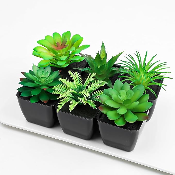 6 Pack Artificial Succulents Plants Potted Small Fake Greenery Plant Realistic in Black Pots for Office Desk Halloween Decorations Bedroom Living Room Shelf Bathroom Decor