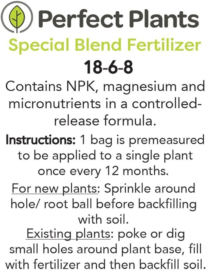 Aztec Grass - Size: 1 Gallon, Live Plant, Includes Special Blend Fertilizer & Planting Guide
