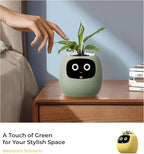 Smart Pet Planter, Smart Plant Pot, With Artificial Intelligence, Time Weather Display, And Multiple Expressions Animation,Lovely Plant Companion, For Desktop Decoration, Gifts,Plant-Free (Mint)