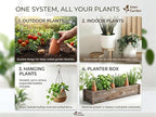 Ollas Plant Watering Globes - Terracotta Self Watering Planter Insert - Automatic Water Bulbs for Indoor/Outdoor Plants - Easy Refill System - Set of 4