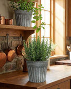 vensovo 8 Inches Silver Metal Rustic Plant Pots - 4 Pcs Large Galvanized Planters with Drain Hole and Rubber Plug, Rustproof Tin Bucket Flowerpot for Indoor Plants Farmhouse Vintage Style for Decor
