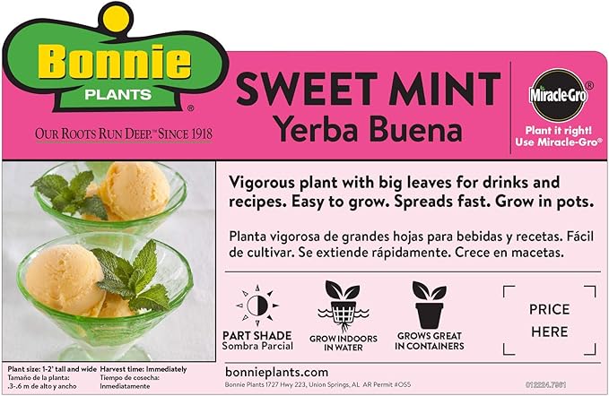 Bonnie Plants Pet Friendly Garden Plants (4-Pack), Live Plants, Cat & Dog Friendly Herbs, Catnip, Pet Grass, Sweet Mint & Oregano