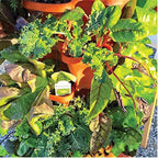 Vertical Garden Planter 4 Tier Stackable System 16 Plants, Space Saving Herb, Strawberry & Food Crop Planter with Center Support Hole for Indoor Outdoor Gardening (4, Terracotta, Small)