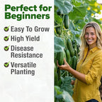 HOME GROWN Organic Marketmore Cucumber Seeds 200+ Heirloom Non-GMO Seeds for Planting, High Germination, Hardy & Vigorous Slicing Cucumber, Trellis & Raised Bed Garden (Cucumis sativus)