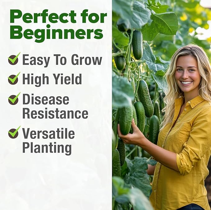 HOME GROWN Organic Marketmore Cucumber Seeds 200+ Heirloom Non-GMO Seeds for Planting, High Germination, Hardy & Vigorous Slicing Cucumber, Trellis & Raised Bed Garden (Cucumis sativus)