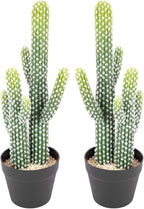 Nafresh UV-Resistant Artificial Fake Cactus Plants 23in – 2 Pack Large Faux Cowboy Cactus for Indoor & Outdoor Home, Office, or Garden Decor