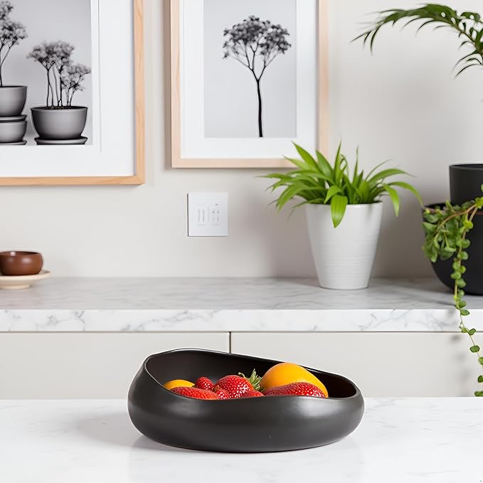 9.5'' Black Ceramic Indoor Plant Pot,Low Bowl Indoor Plant Pot with Decorative Tray, Contemporary Decorative Flower Pot for Home, Kitchen, Office & Event Décor