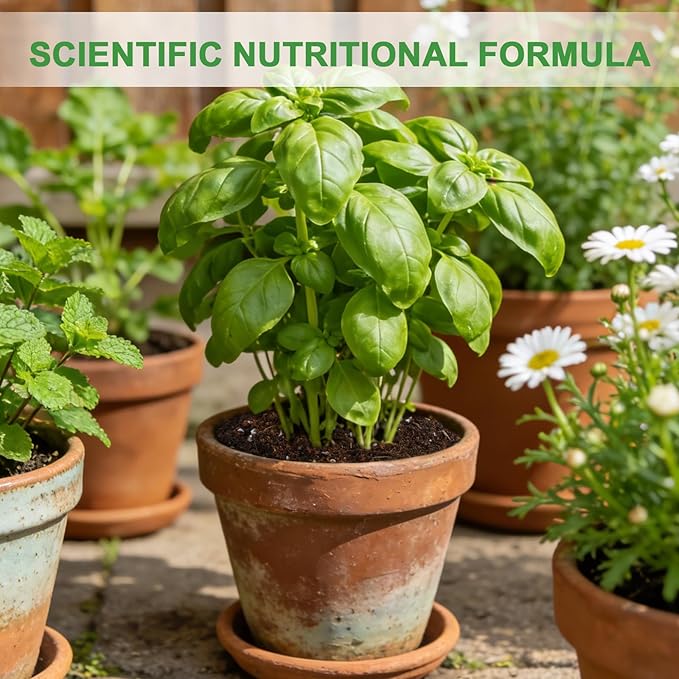 Organic Potting Soil Mix for Indoor Plants & Herb Gardens 10qt- All-Purpose Nutrient-Rich Natural Soil