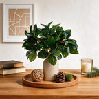12 Inch Artificial Plant Indoor,Small Fake Plants Eucalyptus Stems With Vase,Faux Greenery In Pot For Farmhouse Home Decor,Bathroom Living Room Kitchen Office Coffee Table Centerpiece (cream white)