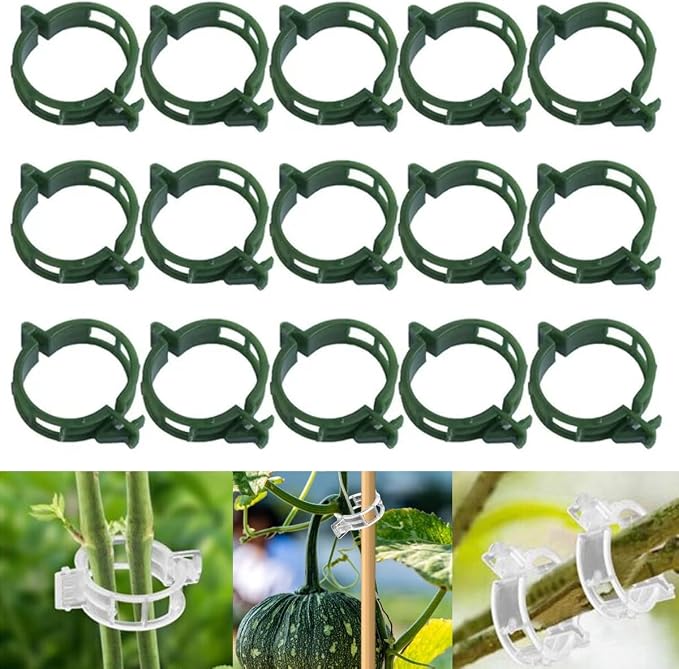 Thickened Plant Fixing Clip 100Pcs, 2025 Summer New Tomato Grape Vine Vegetables Plant Fixing Clips, Upgrade Plant Support Clips Reusable Garden Clips Secured Plastic Plant Clip (200, Green)
