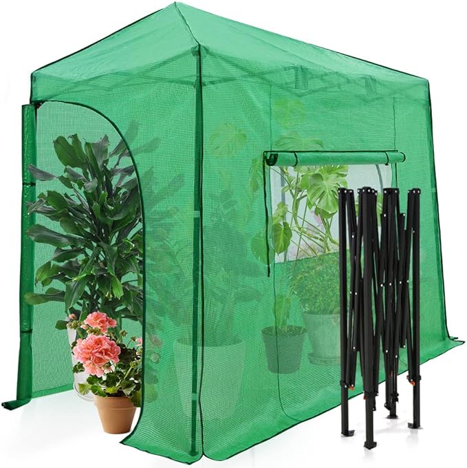 EAGLE PEAK 10x5 Portable Walk in Greenhouse, Pop Up Indoor Outdoor Greenhouse, Green House Kit with Zippered Roll-Up Doors and Windows, Lean-to Design, PE Cover, Clear/Green
