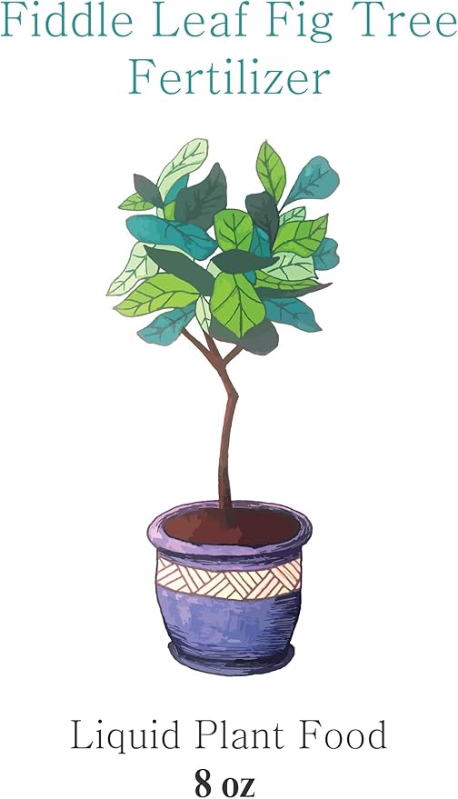 Fiddle Leaf Fig Tree Fertilizer | Ficus Plant Food | Improves Leaves and Branches | Potted Indoor Trees and House Plants Treatment by Aquatic Arts
