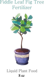 Fiddle Leaf Fig Tree Fertilizer | Ficus Plant Food | Improves Leaves and Branches | Potted Indoor Trees and House Plants Treatment by Aquatic Arts