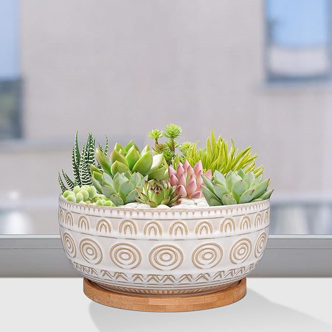 Eightpot 8 Inch Ceramic Succulent Planter Pot with Drainage Hole and Saucer Round Shallow Planter for Indoor Plants, White