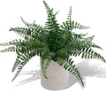 Coferset Fake Fern Small Fake Plant Fern Artificial Plants in Pot Realistic Faux Ferns Indoor for Bathroom Shelf Desk Home Office Kitchen Farmhouse Decor(Gray Pot)