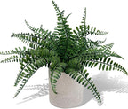 Coferset Fake Fern Small Fake Plant Fern Artificial Plants in Pot Realistic Faux Ferns Indoor for Bathroom Shelf Desk Home Office Kitchen Farmhouse Decor(Gray Pot)