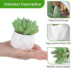 ZINHO Fake Succulent Plant Set 6 PCS Artificial Succulent Plants for Desk Realistic Faux Succulents in Plastic Pots Mini Colorful Succulent Decor for Bedroom Bathroom Office Shelf Decor (Green)