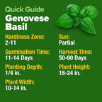 HOME GROWN Genovese Basil Seeds 2 Pack - 3500 Non GMO Heirloom Basil Seeds for Planting (Ocimum basilicum) - Herb Seeds for Indoor & Outdoor Gardening - Grow for Culinary Use