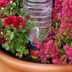 Blumat Plant Watering Device - Easy XL Self Watering Planter Insert for Indoor Plants - Bottle Adapter - Prevents Overwatering and Underwatering for Healthy Growth - 6 Pack