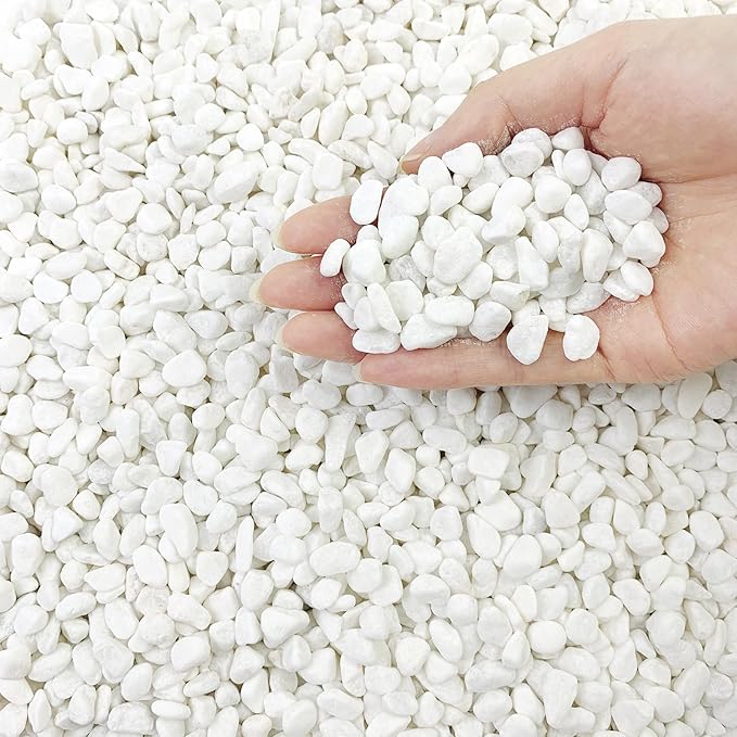FANTIAN 2 lbs White River Rocks for Plants, 3/8 Inch Gravel Pebbles for Plants. Decorative White Stones for Succulents, Cactus, Vase and Outdoor Garden Landscaping