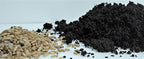 Jumbo 6 Pound Magic All in One Mushroom Grow Bag