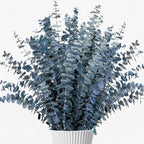 26Pcs Real Dried Eucalyptus Stems, 17" Blue-Green Preserved Eucalyptus Stems for Vase, Home Decor, Farmhouse, Dried Flowers Table Centerpiece Arrangement