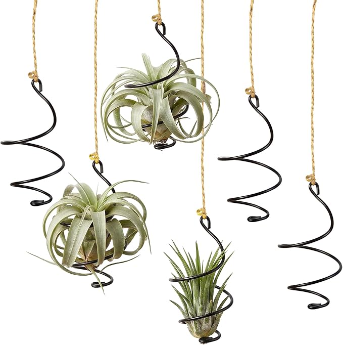 6 Pcs Hanging Air Plant Holder with Ropes Soilless Hanging Plant Holder Modern Plant Stand Display Container Geometric Plant Charms for Tillandsia Succulent Office Home Wall Decor Gifts