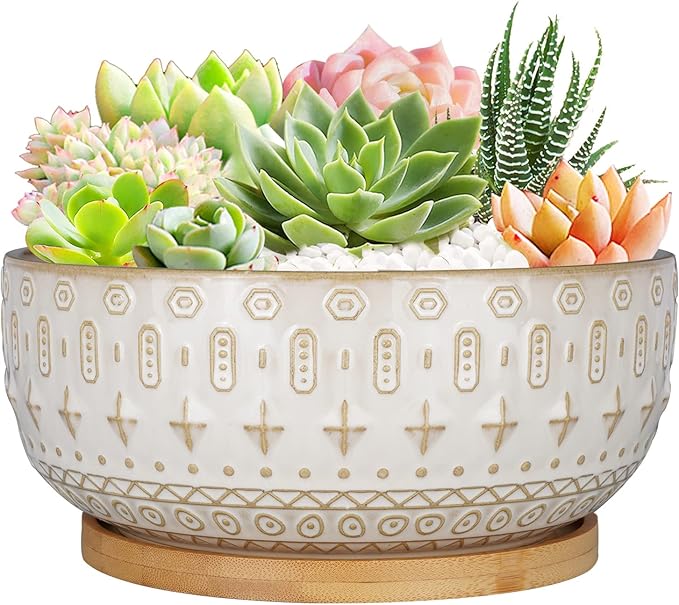 8 Inch Ceramic Succulent Planter Pots with Drainage Hole Flower Pot for Indoor Plants Round Shallow Bonsai Pot with Bamboo Tray White