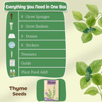 Herb Seed Pods Kit Hydroponic - Refill Pod for All Indoor Garden, 8 Grow Pods with Seeds of Thyme & Plant Food, Compatible with All Hydroponics Growing Systems