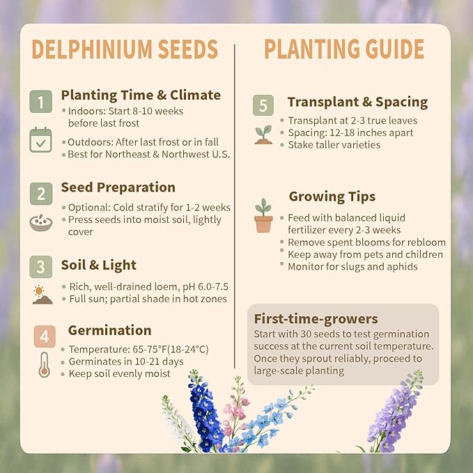 Delphinium Seeds for Planting - 16000+ Mixed Color Rocket Larkspur Seeds Plant Outside, Non-GMO, Perennial Garden Wildflower, Consolida ajacis(2 Pack)