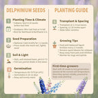 Delphinium Seeds for Planting - 16000+ Mixed Color Rocket Larkspur Seeds Plant Outside, Non-GMO, Perennial Garden Wildflower, Consolida ajacis(2 Pack)