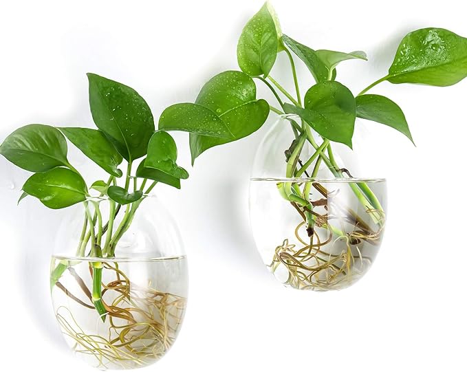 Kingbuy Wall Hanging Propagation Station Glass Plant Terrarium Container Egg Shape for Propagating Hydroponic Plants Home Office Garden Decor Wedding, 2 Pack