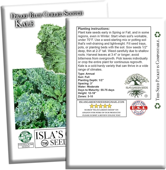 Dwarf Blue Curled Scotch Vates Kale Seeds (Brassica oleracea) – 750+ Non-GMO & Heirloom Seeds by Isla’s Garden Seeds, Classic Cool-Season Leafy Green for Gardens, Containers & Microgreens, Gift Idea