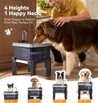 9L/2.38Gal Dog Water Fountain Elevated with 4-Height Adjustable Stand, FeelNeedy Large Pet Water Dispenser with Durable Ultra-Quiet Pump & 304 Stainless Steel Tray, Water Fountain for Dogs Indoor