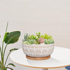 Eightpot 8 Inch Ceramic Succulent Planter Pot with Drainage Hole and Saucer Round Shallow Planter for Indoor Plants, White