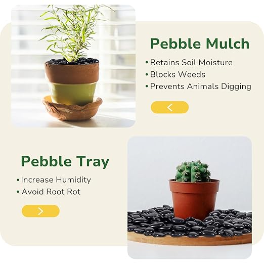 GreatBuddy 30-lb Black River Rocks for Landscaping, 1-2 Inches Black Polished Pebbles, Decorative Rocks for Plants Indoor& Outdoor, Garden Landscaping, Aquariums, Vases, Potted Plants, Home Decor
