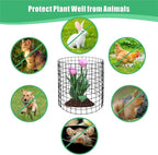 Eunika 18 Pcs Round Plant Protector from Animals, 6 Pack 12" x 12" Metal Mesh to Keep Animals Out Wire Plant Protectors for Rabbits Chicken Bunny Barricades for Garden Vegetable Flowers Protection