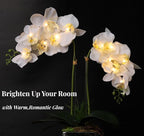 HOMESEASONS Orchid Lamp-LED Lighted Orchid Arrangements,Pre Lit Artificial Orchid,Light Up Flower Lights, Faux Orchid Phalaenopsis Arrangement (White)