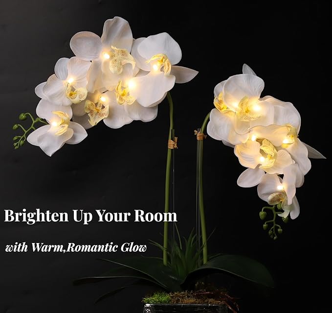 HOMESEASONS Orchid Lamp-LED Lighted Orchid Arrangements,Pre Lit Artificial Orchid,Light Up Flower Lights, Faux Orchid Phalaenopsis Arrangement (White)