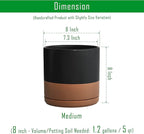 D'vine Dev 8 Inch Ceramic Planter Pot with Drainage Hole and Saucer, Indoor Cylinder Round Planter Pot, Black/Speckled Tan, 94-O-D-7