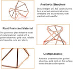 6 PCS Geometric Air Plant Holder Airplants Rack Metal Plants Stand, Airplant Stand Container Tillandsia Stainless Steel Display Racks, Wire Metal Plants Stand Planter Shelves