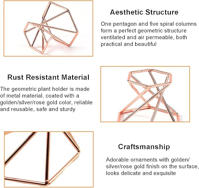 6 PCS Geometric Air Plant Holder Airplants Rack Metal Plants Stand, Airplant Stand Container Tillandsia Stainless Steel Display Racks, Wire Metal Plants Stand Planter Shelves