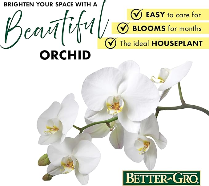 Better-GRO 19” Hanging Kokedama with Phalaenopsis Orchid – Indoor/Outdoor Planter- White