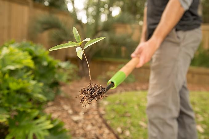 AMES 2942100 Forged Dandelion Weeder with Hardwood Handle