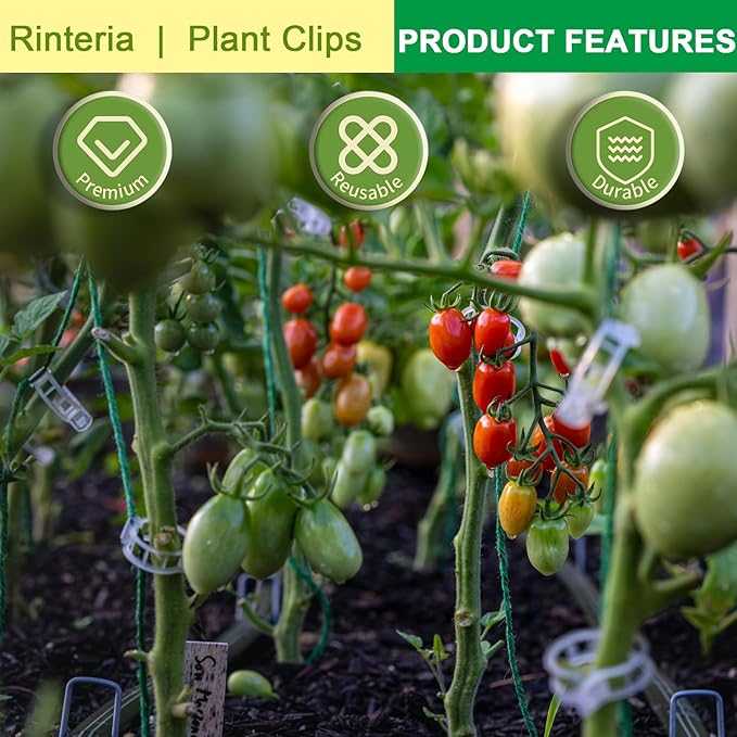 Tomato Clips for Climbing Plants 100 Pack, Plant Support Clips & Garden Clips for Vegetables Vine, Clear Reusable Plastic Plant Clips Indoor Outdoor Gardening