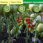 Tomato Clips for Climbing Plants 100 Pack, Plant Support Clips & Garden Clips for Vegetables Vine, Clear Reusable Plastic Plant Clips Indoor Outdoor Gardening