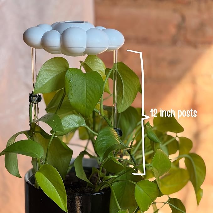 Original Dripping Rain Cloud with Moon Charm