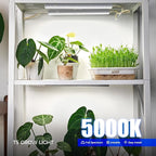Barrina T5 Grow Lights for Indoor Plants, 1ft Plant Lights for Indoor Growing, 5000K White Full Spectrum Grow Light, Individual Switch, T5 Grow Light Strip, Plug and Play, 8-Pack